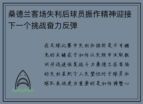 桑德兰客场失利后球员振作精神迎接下一个挑战奋力反弹